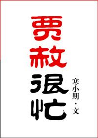 贾赦很忙txt盘资源