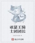 亚瑟是骑士王吗