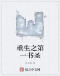 重生之第一密书