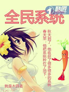 全民系统只有我能看别人的面板