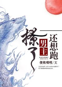 撩了男主后小卷饼在线阅读