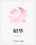 昭华乱是哪部电视剧