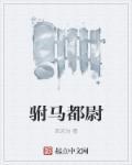 大明驸马都尉