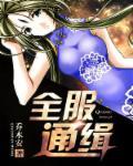 全服通缉橙光破解版游戏介绍