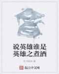 说英雄谁是英雄讲什么