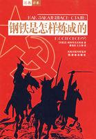 钢铁是怎样炼成的主题思想