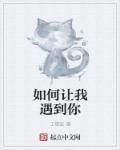 让我怎么遇见你