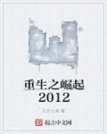 重生之崛起2004