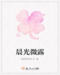 晨光微露结局