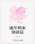 流年似水什么