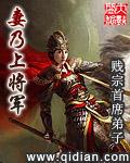 妻乃上将军女主角有几个