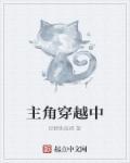 有没有主角穿越