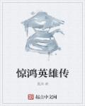 惊鸿侠影
