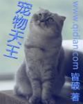 宠物天王漫画免费观看全集