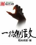 一招制敌招式