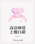 高富帅找白富美
