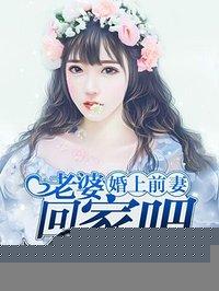 婚上前妻老婆回家了免费阅读