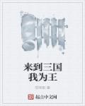 三国我为王之王灿