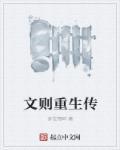 重生传宠文