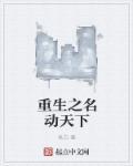 名动天下无防盗