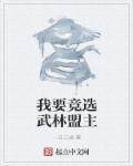 武林盟主是我