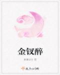 金钗醉酒斗红颜锦绣攻略