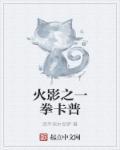 火影之一拳卡普txt