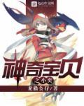 神奇宝贝小豪