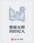 维密女模的经纪人支线1