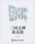 三国神龙系统