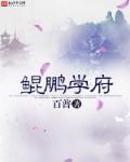 鲲鹏教育集团有限公司怎么样