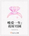 傲娇男神满分宠免费阅读