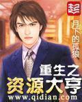 重生之资源大亨校正版