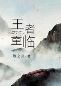 王者重临(电竞) 蝶之灵讲的什么