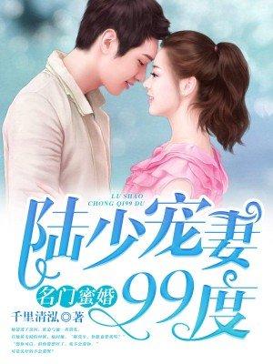 陆少宠妻99度免费阅读全文