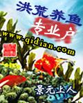 洪荒养猫日常
