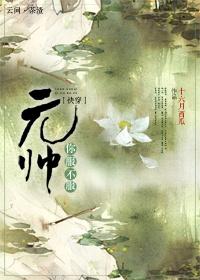 元帅gl免费阅读