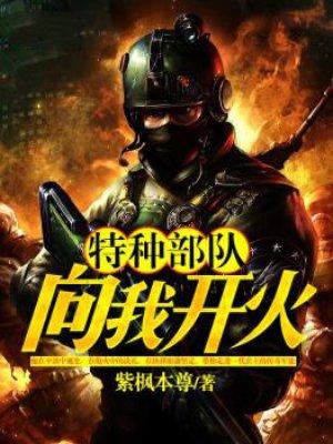 特种部队向我开火2