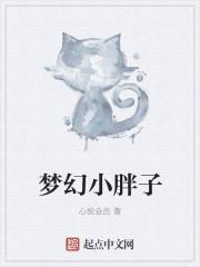 梦幻西游小胖解说