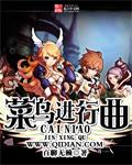 菜鸟歌曲唱什么好