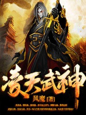 凌天武神TXT电子书