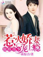 墨少宠妻超高调全文免费阅读