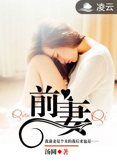 前妻的车站33集电视剧
