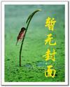 众星之主txt电子书