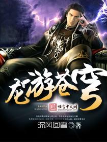 龙游苍穹全本txt免费