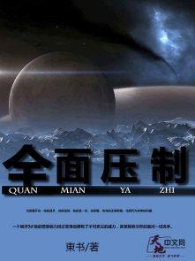 什么是全面制裁