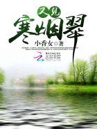 寒烟翠1987电视剧