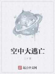 空中大盗案件