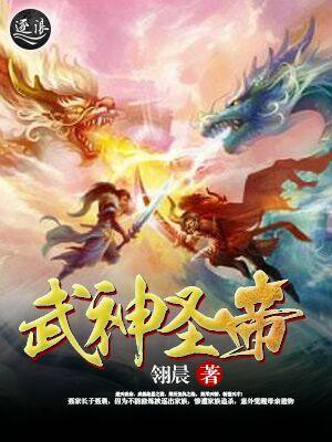 武神圣帝TXT全本