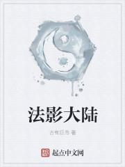 中国是大陆法